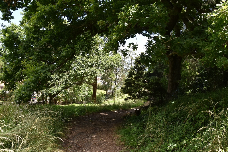 DSC_8223