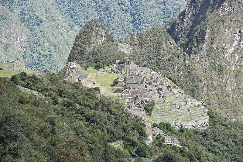 DSC_1291
