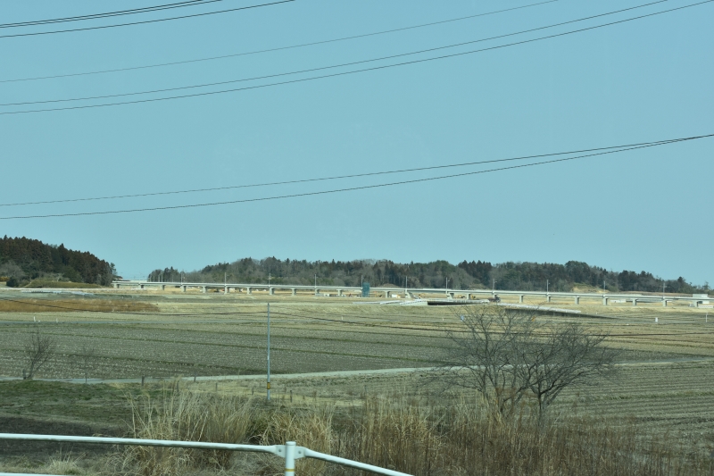 DSC_8933