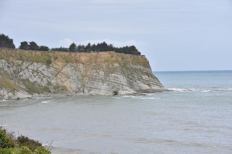 DSC_1702