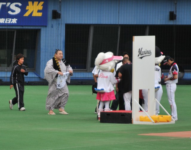 �����糤�о�