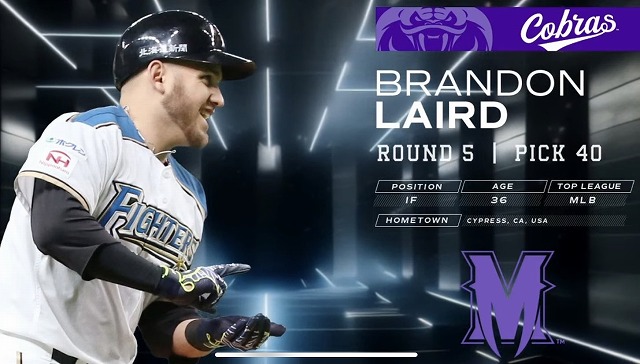 MLB starting lineup レジェンド選手 30体生産終了品