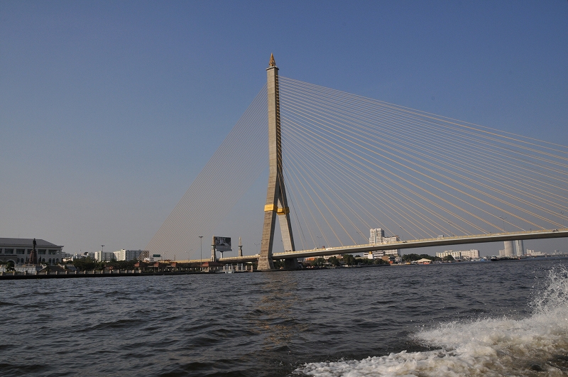 DSC_7196