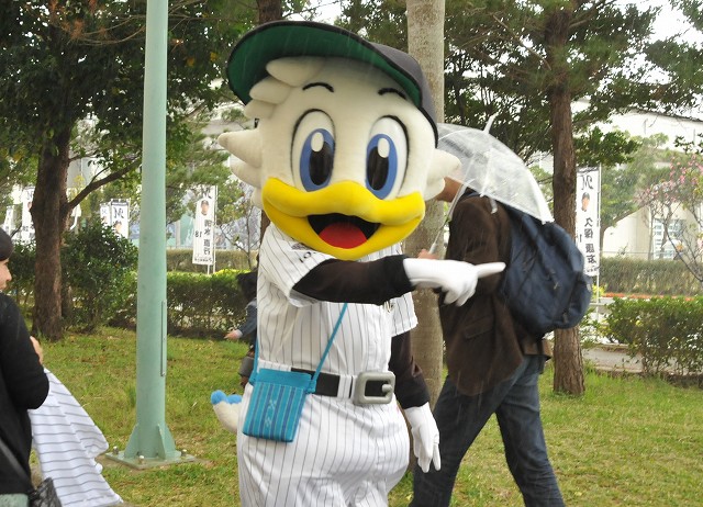 ������³��