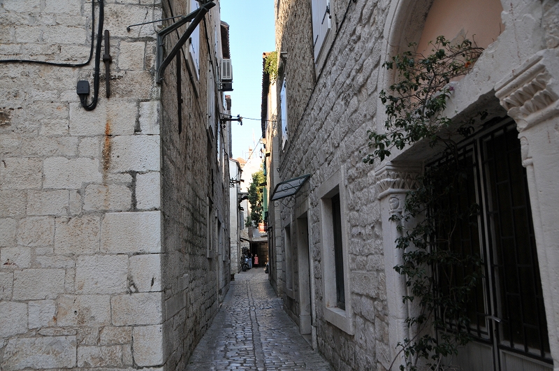DSC_6731