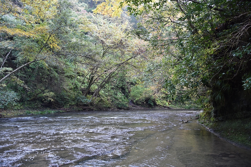 DSC_9388