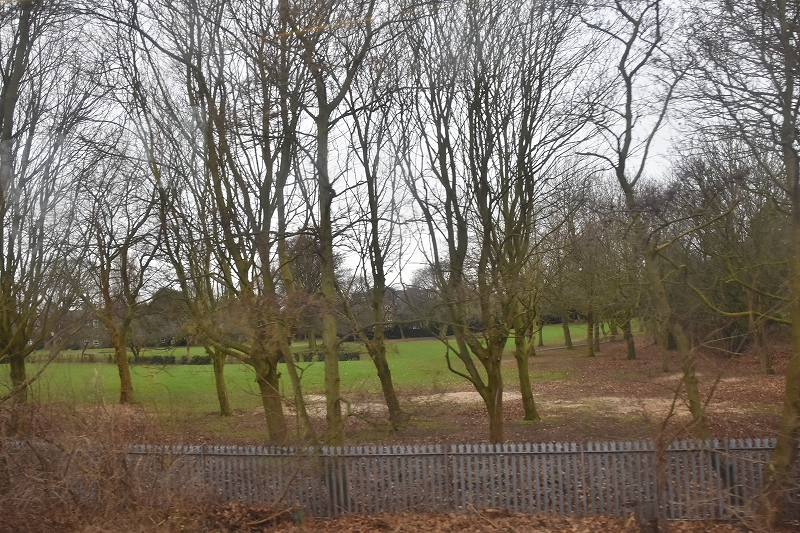DSC_1581