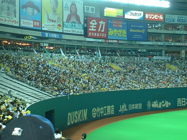 ���������档