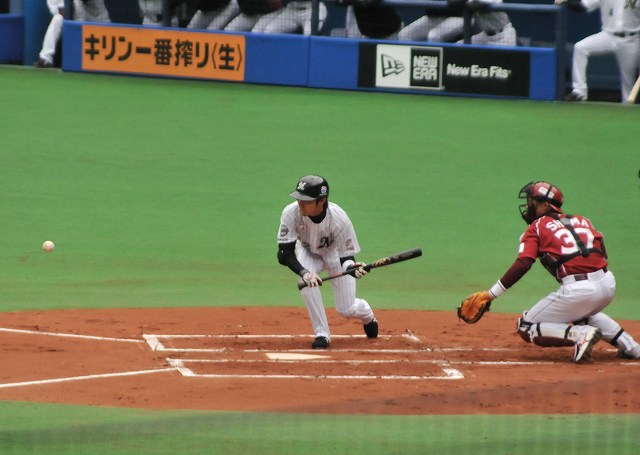 根元