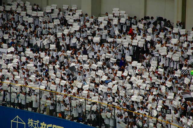 今日も外野が白く染まります