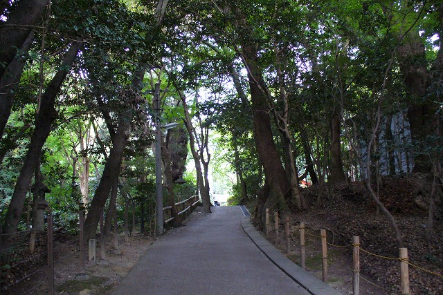 P1050071