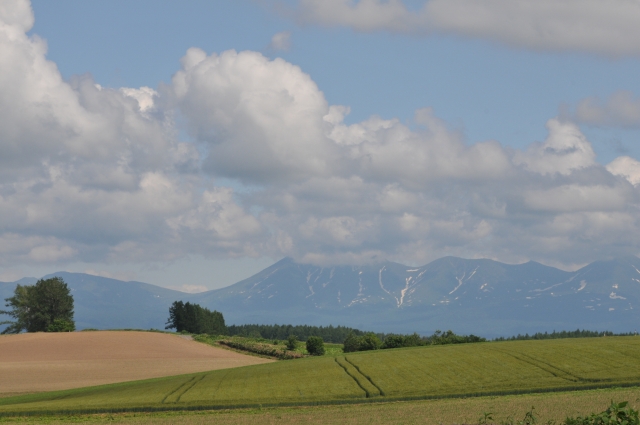 DSC_1054