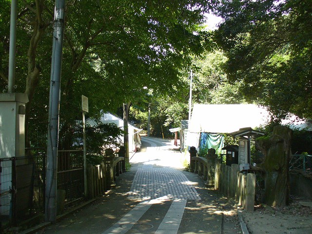 木陰