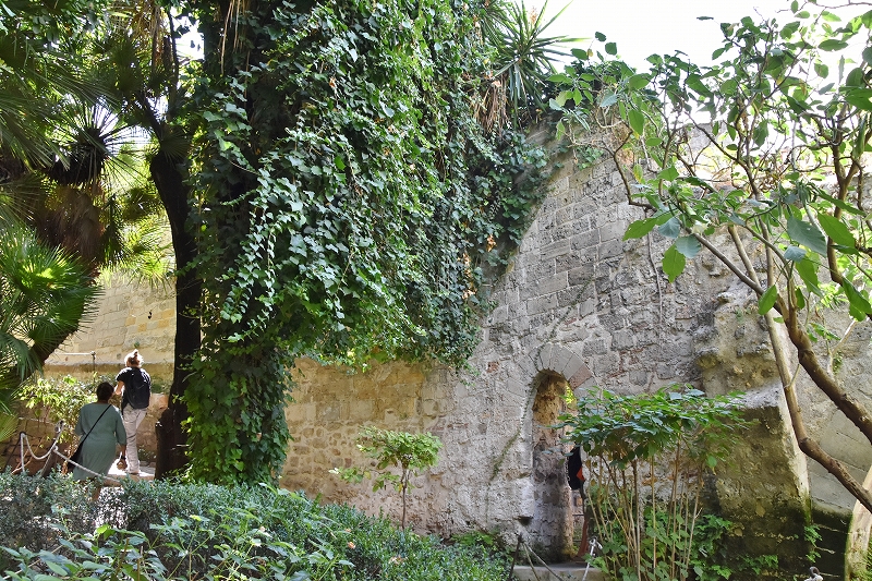 DSC_0047