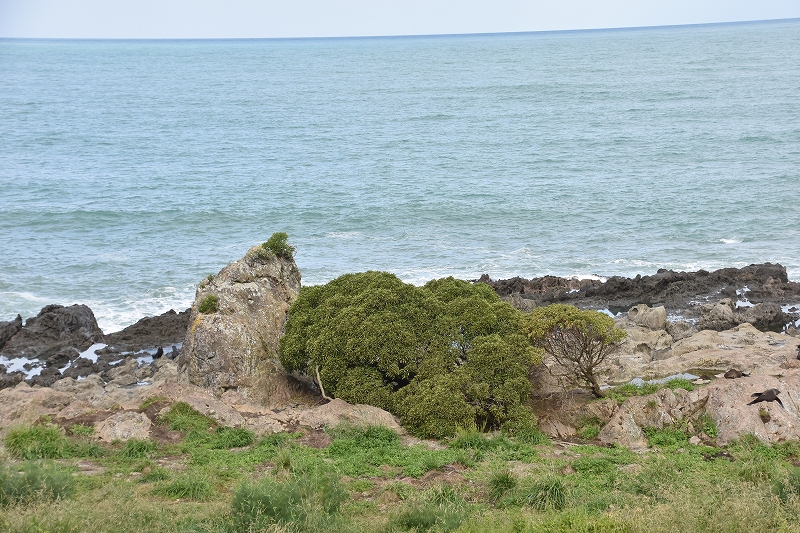 DSC_1676