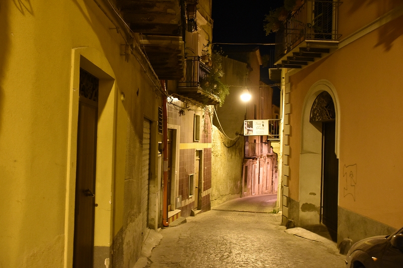 DSC_2006