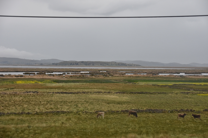 DSC_4619