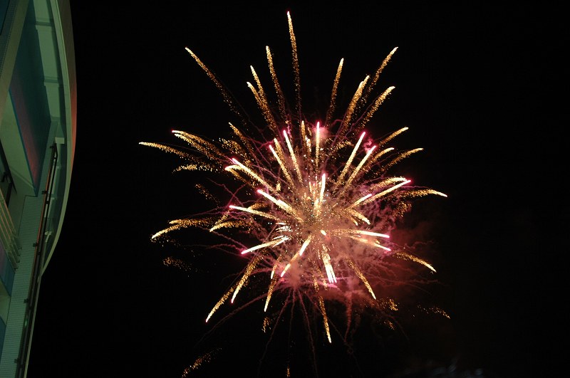 ����פǤ�ֲ�2