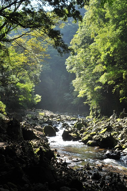 ����Ū��ʷ�ϵ�