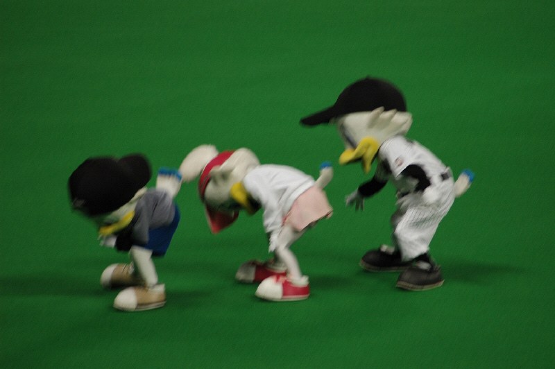 zoo2
