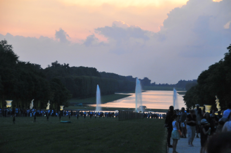 DSC_8375