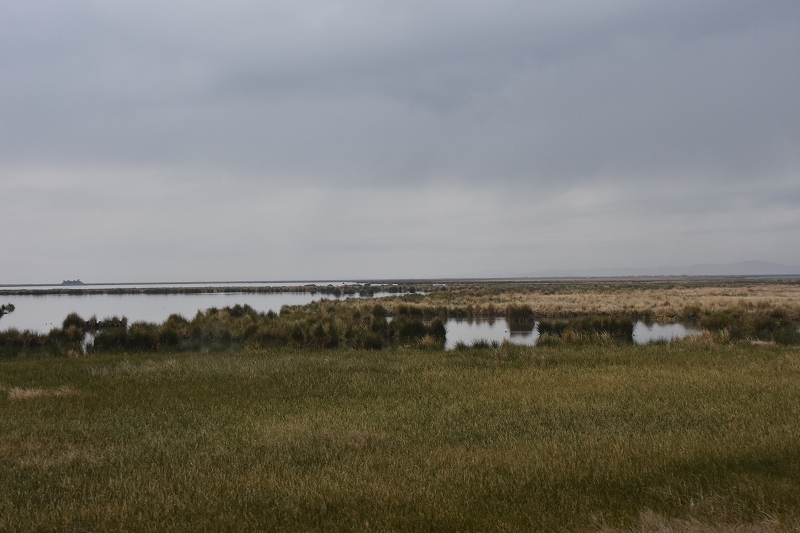DSC_4611