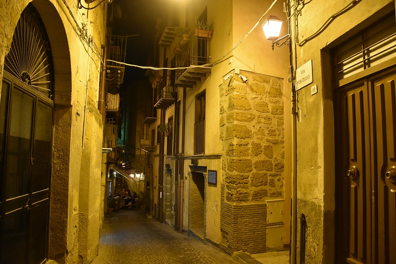 DSC_2013