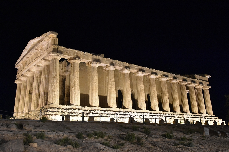 DSC_1865