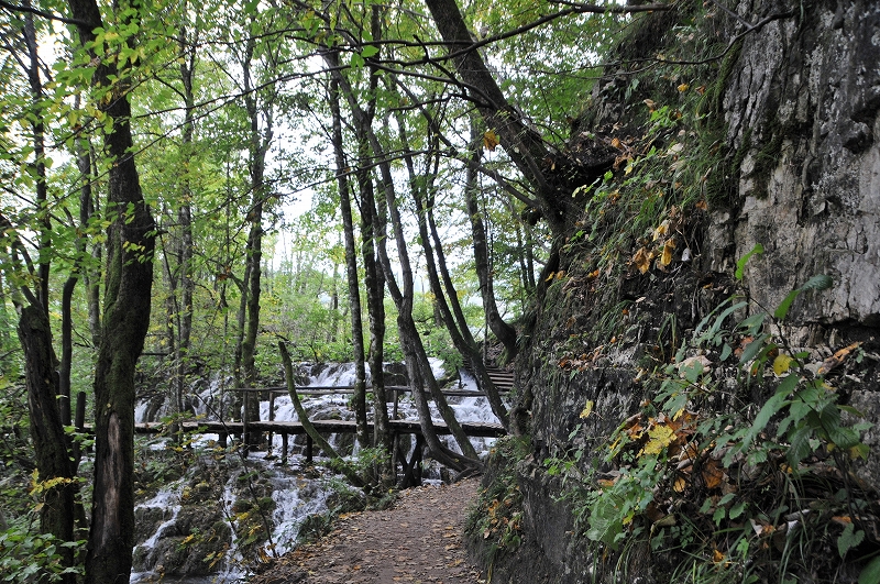 DSC_7283