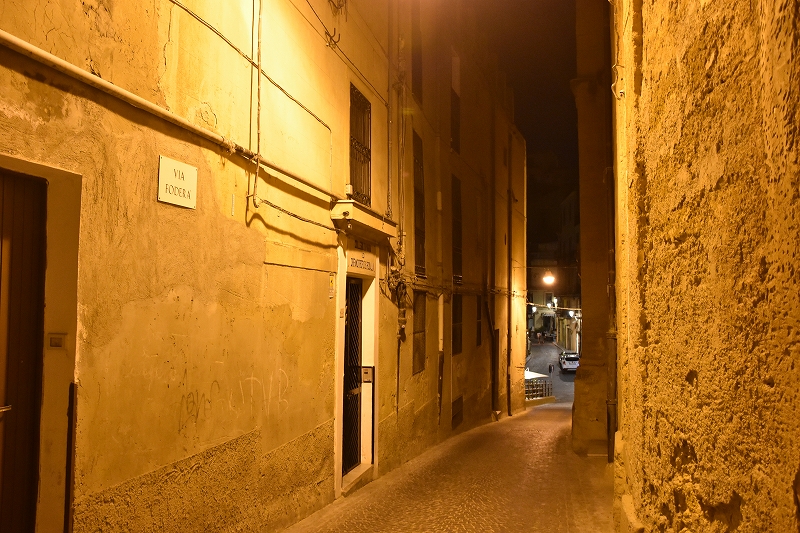 DSC_2004