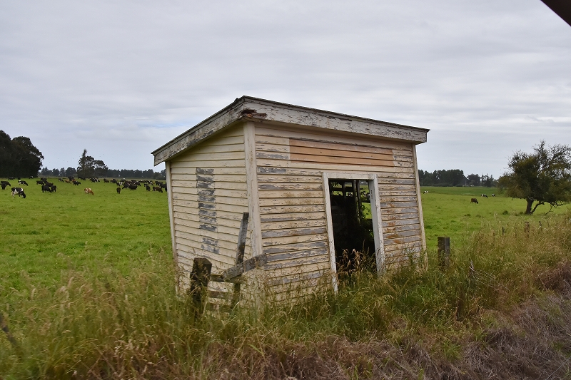 DSC_1527