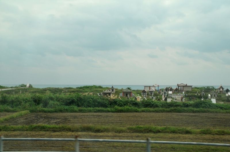 DSC_1237