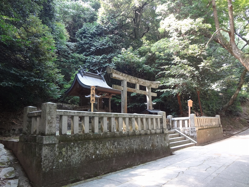 DSC01247