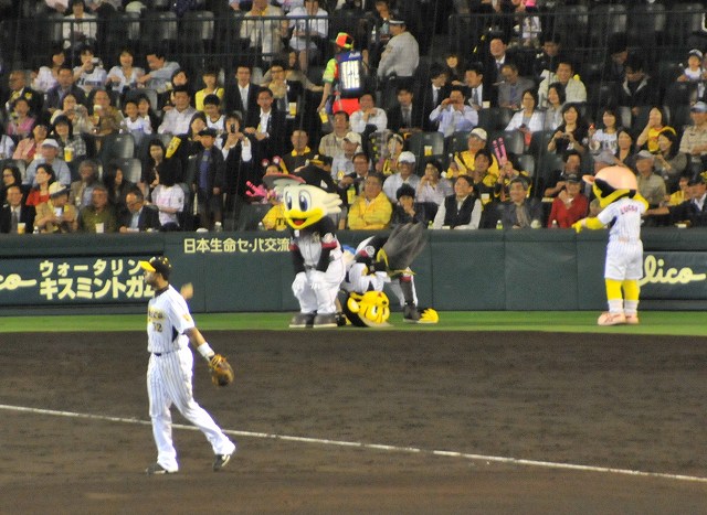 �ȥ�å����˹��ݤ���ޡ�����