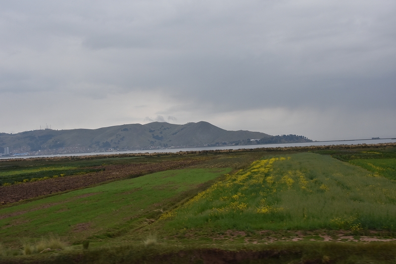 DSC_4606