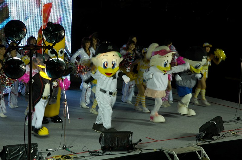 ����פ�ymca