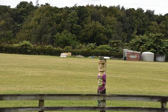 DSC_8462