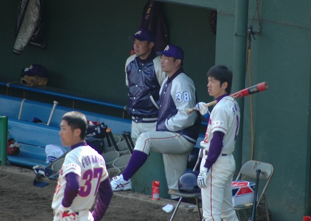 ���褤���糫��