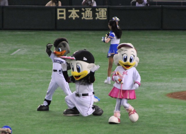 ���ݡ���