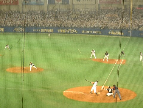 �����裲����