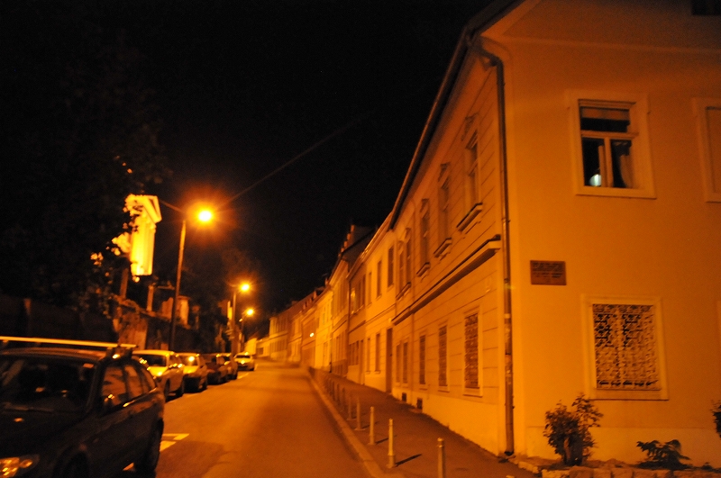 DSC_7955