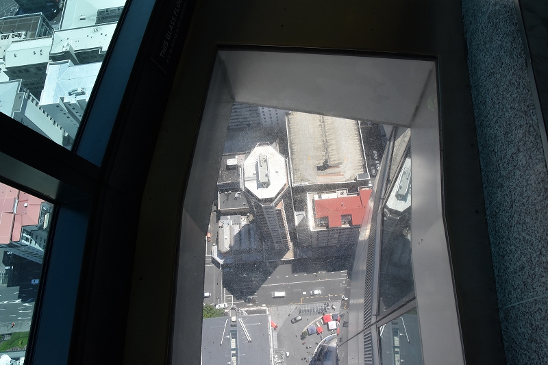 DSC_8043