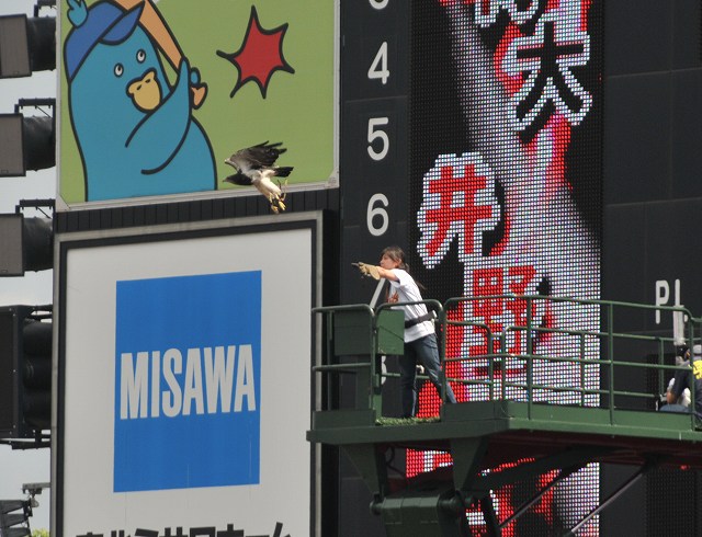 �亮�����Ф����٥��