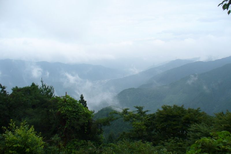 P1050289