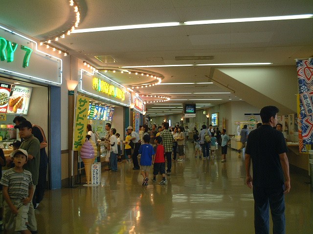 �������ϩ