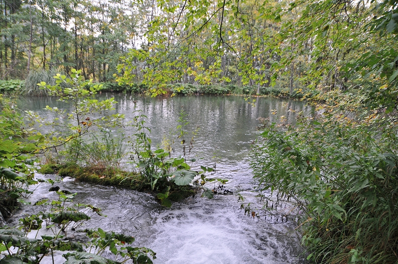 DSC_7342