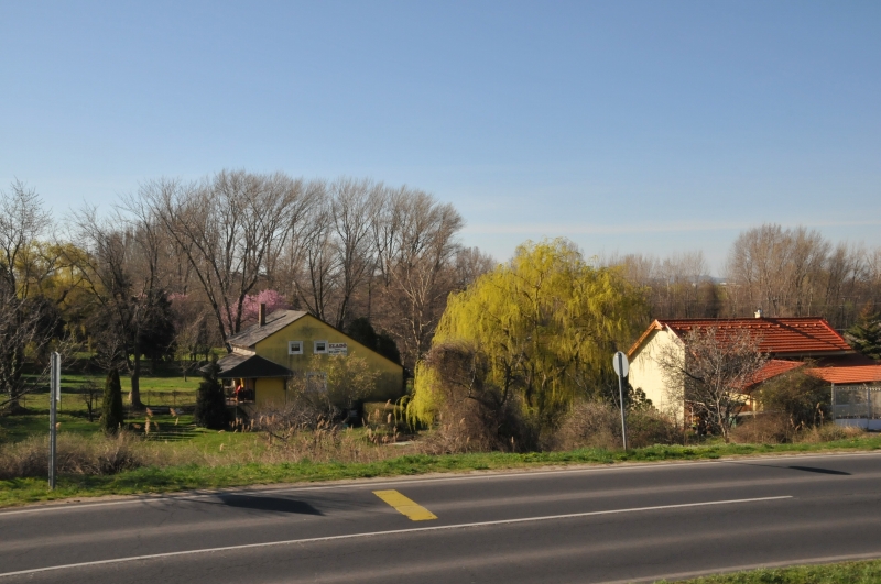 DSC_1809