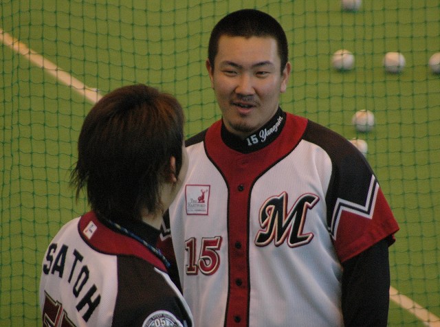 2008ǯ�������