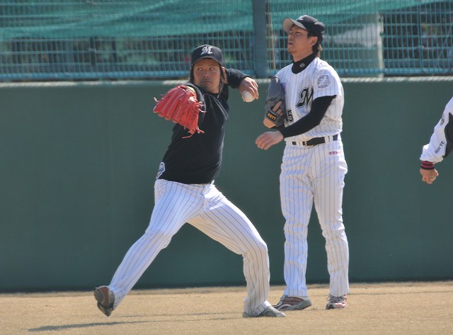 �����Ⱦ���