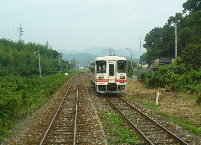 ʿ����˭Ŵƻ